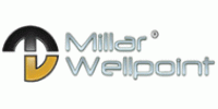 Mill.ar Wellpoint S.a.s.