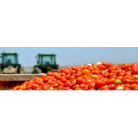 Программное обеспечение для логистического управления SLV Tomato