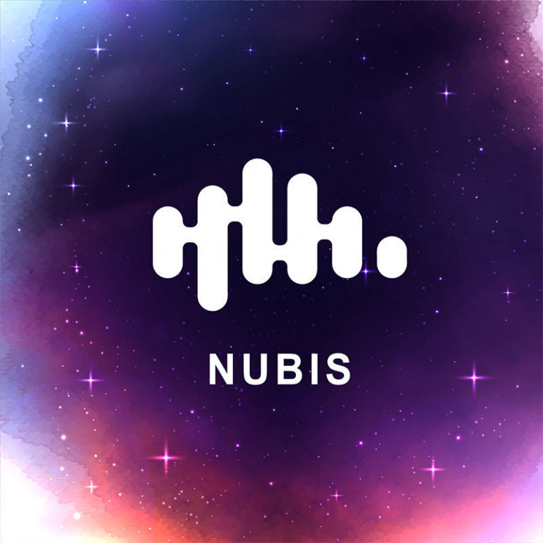 Программное обеспечение дистанционного управления NUBIS Программное обеспечение дистанционного управления NUBIS