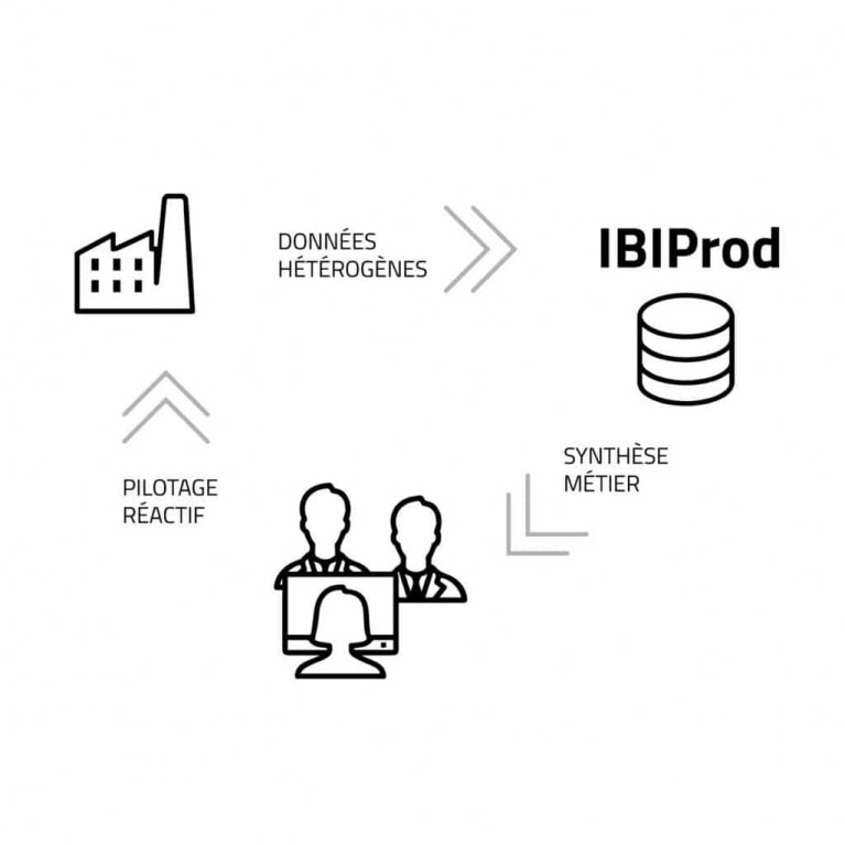 Программное обеспечение для управления производственным процессом IBIPROD