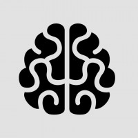 Программное обеспечение для управления BRAIN2