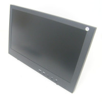 Монитор LCD DS156FHD